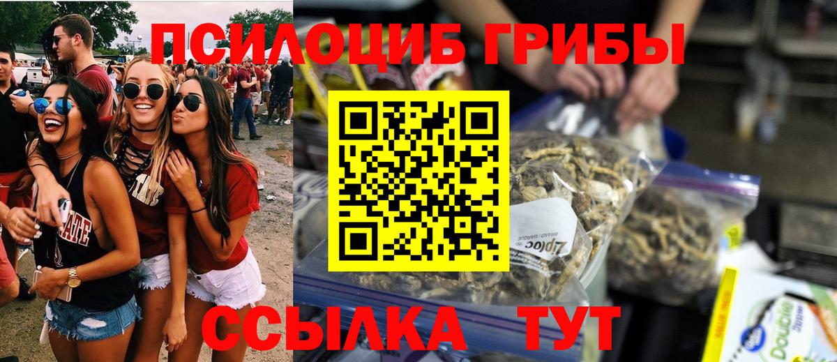 Псилоцибиновые грибы Cubensis  хочу наркоту  Галлюциногенные грибы мухоморы  Ставрополь  Вход с VPN 